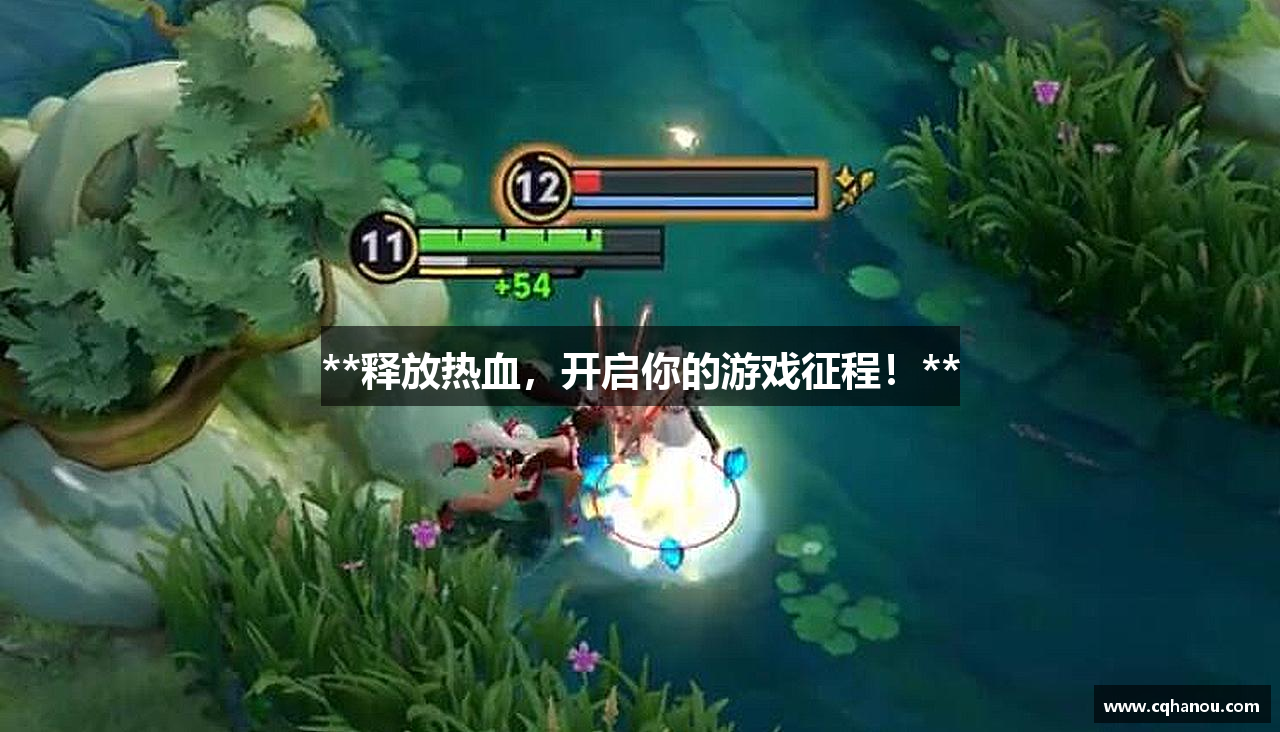 **释放热血，开启你的游戏征程！**